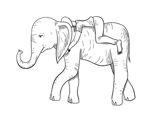 Illustration of a human on elephant in graphics. Figure black pen