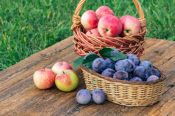 Just picked plums and apples in wicker baskets on old wooden boards