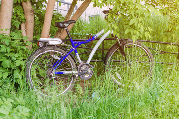 Fototapeta premium Bicycle stands near the tree on the grass