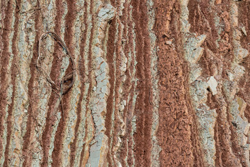 Close up of the rainbown mountains pattern. Xizi mountain Khizi district. Rainbown mountains pattern