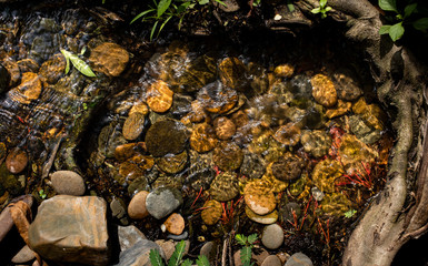 Rocks in the water of the brook