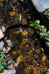 Rocks in the water of the brook