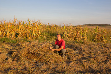 Naklejka na ściany i meble man in the fall sits in the field,A farmer sitting on the field in the fall and burns dry grass