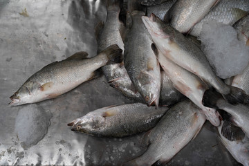 Fish Fresh Market in Thailand