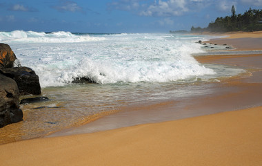 Fototapeta premium Lava stone on Sunset beach - Oahu, Hawaii