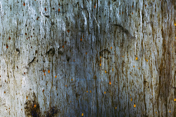 Scratched metal surface background for design