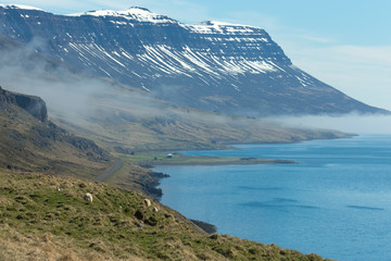 Foggy landscape of the fjords of Iceland