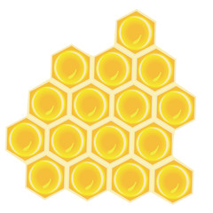 A  honeycomb