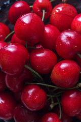 Close up of pile of ripe cherries with stalks