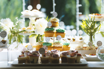 Sweet candy bar with cupcakes and other pastries in sunlight a a wedding party.