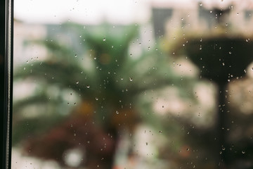 raindrops on window glass in the summer. palm trees in the background