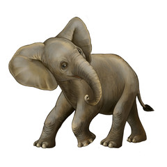 Fototapeta na wymiar cartoon scene with little elephant on white background safari illustration for children