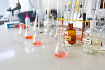test tubes with liquid in laboratory