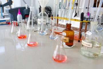 test tubes with liquid in laboratory
