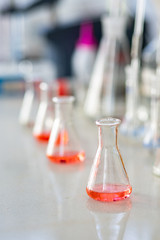 test tubes with liquid in laboratory