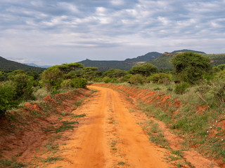 Tsavo West National Park, Kenya