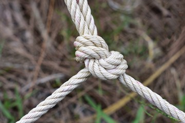 Rope tied the knot three-way split.