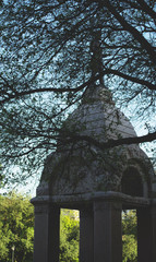 Trees with old building in the background