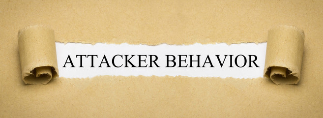 Attacker Behavior