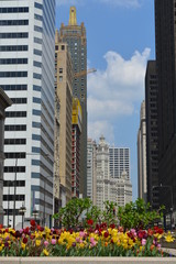 buildings in chicago