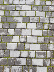 cobblestone road with grass between stones