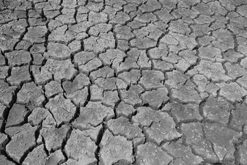 close up cracked soil