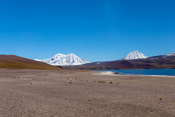 Laguna Miscanti high in the Andes Mountains in the Atacama Desert, northern Chile, South America