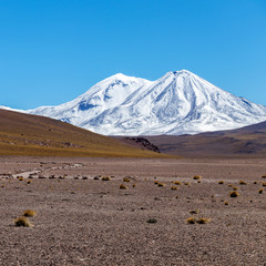 Laguna Miscanti high in the Andes Mountains in the Atacama Desert, northern Chile, South America