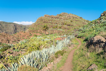 Landscape with hiking trail in the hill country of the island of La Gomera. On the way down from El...