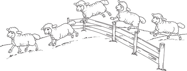 sheep over fence