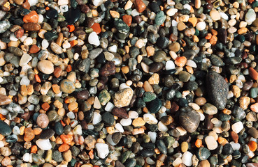 Background of multicolored wet sea pebbles. Sea shore.