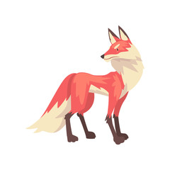 Beautiful Fluffy Red Fox Character Cartoon Vector Illustration