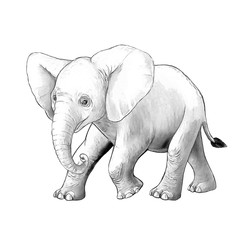 cartoon scene with little elephant on white background safari coloring page sketchbook illustration for children