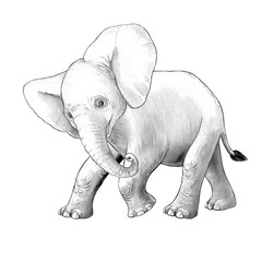 cartoon scene with little elephant on white background safari coloring page sketchbook illustration for children