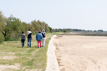 senior parents with adult offspring children Walking On Beach coast