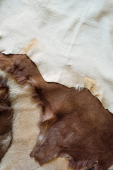 background of leather animal fur texture