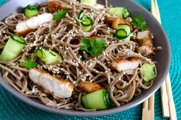 Cold soba with chicken, fresh cucumbers, sauce and sesame. Classic cold salad with buckwheat noodles. Japanese food. Traditional asian cuisine. Close up