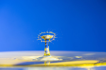 Splash