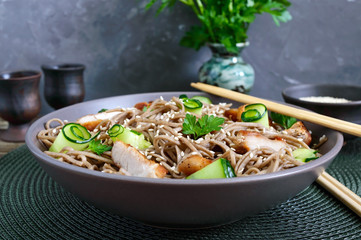 Cold soba with chicken, fresh cucumbers, sauce and sesame. Classic cold salad with buckwheat noodles. Japanese food. Traditional asian cuisine.
