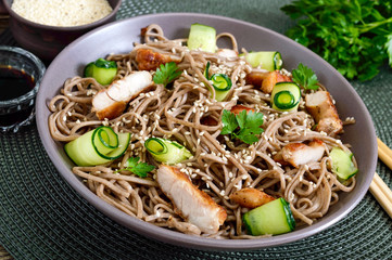 Cold soba with chicken, fresh cucumbers, sauce and sesame. Classic cold salad with buckwheat noodles. Japanese food. Traditional asian cuisine. Close up