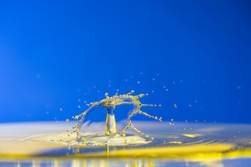 Splash