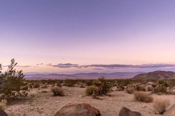 Sunset in a desert: crazy pink/violet clouds, sand, and dry plants.