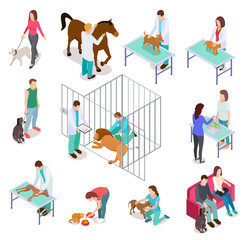 Isometric veterinary. Animals shelter people pet dog cat veterinarian volunteer veterinarians medicine clinic vector isolated set. Medical care dog cat, veterinary clinic, people with pet illustration