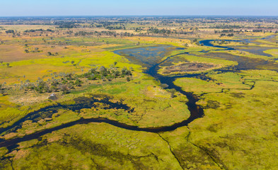 Okavango Delta, Botswana, Africa - obrazy, fototapety, plakaty