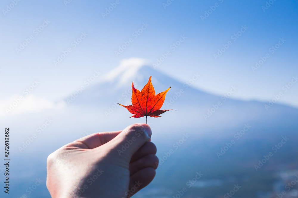 Wall mural hand holding a colorful maple leaf with mount fuji as the backdrop view at observation deck near the