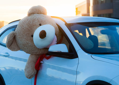 Giant Teddy Bears With Red Ribbons Sitting On Top Of The Car Hoo