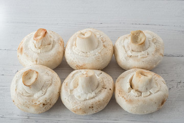 A row of large white  mushrooms placed across a white planked board