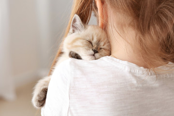 Girl with cute fluffy kitten at home