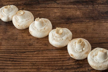 A row of large whit  mushrooms placed across a dark oak planked board