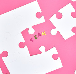 white big puzzles on a pink background,  inscription team